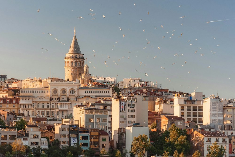 Türkiye Highlights: Istanbul, Cappadocia & Pamukkale
